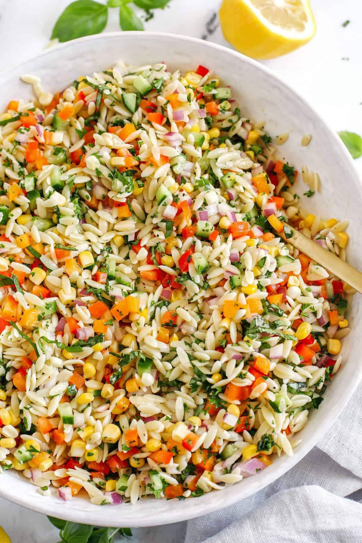 This Rainbow Orzo Salad makes the perfect summer side dish! Loaded with colorful veggies, fresh herbs and tender orzo pasta, all tossed together with a delicious lemon herb dressing and easily made in just minutes! This Rainbow Orzo Salad makes the perfect summer side dish! Loaded with colorful veggies, fresh herbs and tender orzo pasta, all tossed together with a delicious lemon herb dressing and easily made in just minutes!
