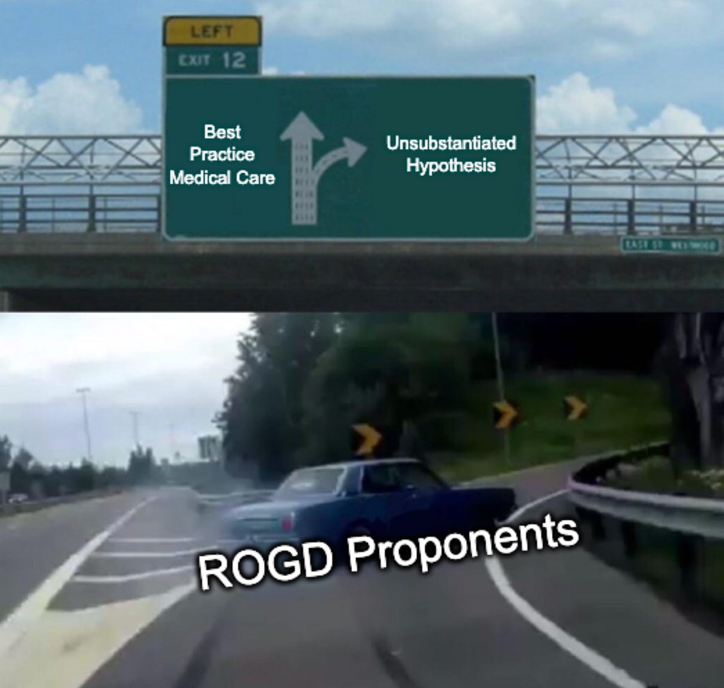 "Car swerving" meme with car labeled "ROGD Proponents" swerving from "Best Practice Medical Care" to "Unsubstantiated Hypothesis"