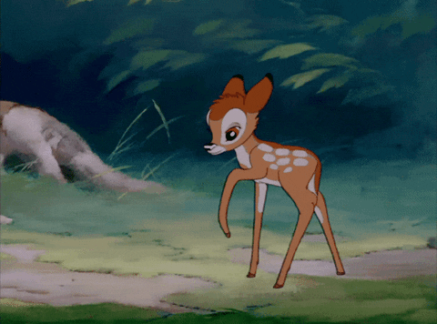 Bambi-disney GIFs - Get the best GIF on GIPHY