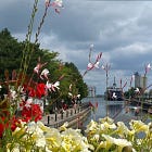 City of Owen Sound Cancels Arts, Culture, and Volunteer Awards