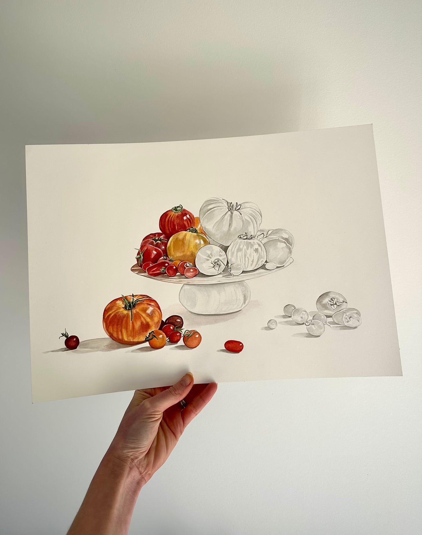 a hand holds up a half finished painting of some red and orange and yellow tomatoes of all sizes sitting side by side and on top of a cake stand