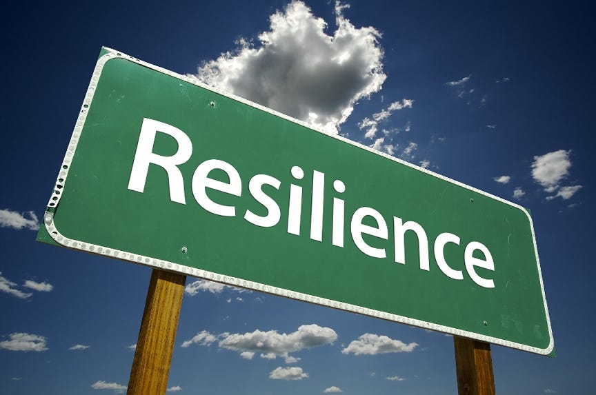Building Your Resilience – The Skills You Need - Paula Davis