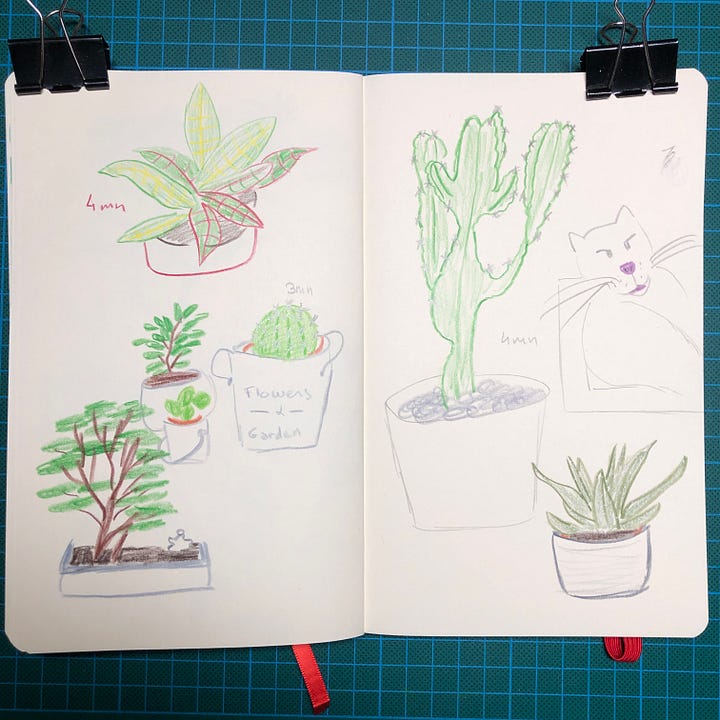 Photos des 4 doubles-pages sur lesquelles j’ai dessiné pendant la session. On y voit des dessins de plantes d’intérieur réalisés aux crayons de couleurs et parfois au crayon graphite. Le temps accordé à chaque dessin est noté à côté.