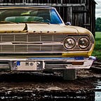 Beach Story Writing Dog Dad