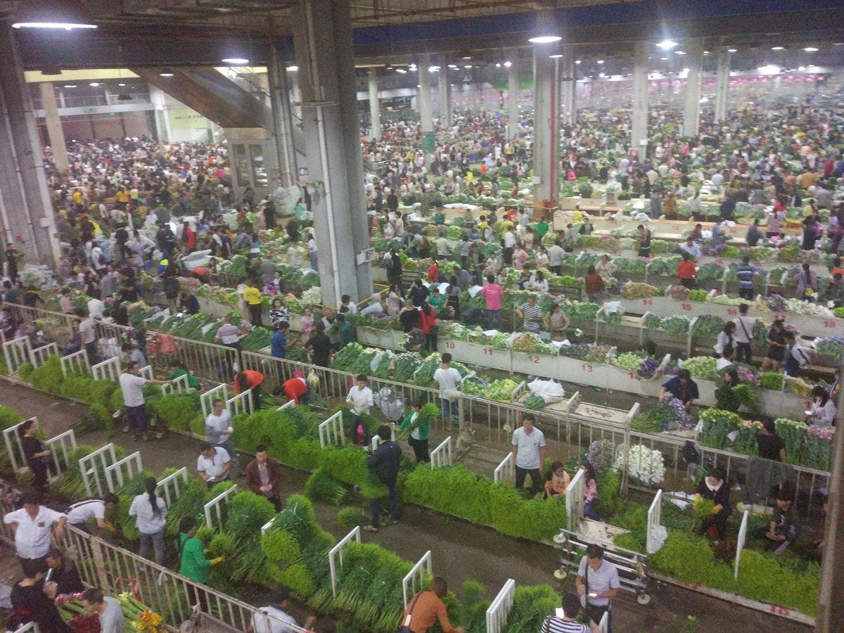 Dounan International Flower Market & Distribution Center, Kunming |  GoKunming