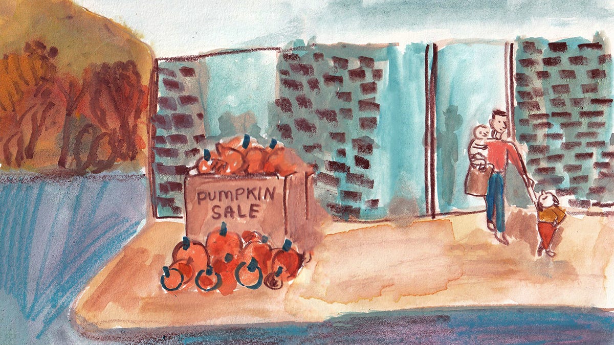 pumpkin sale illustration by Beth Spencer