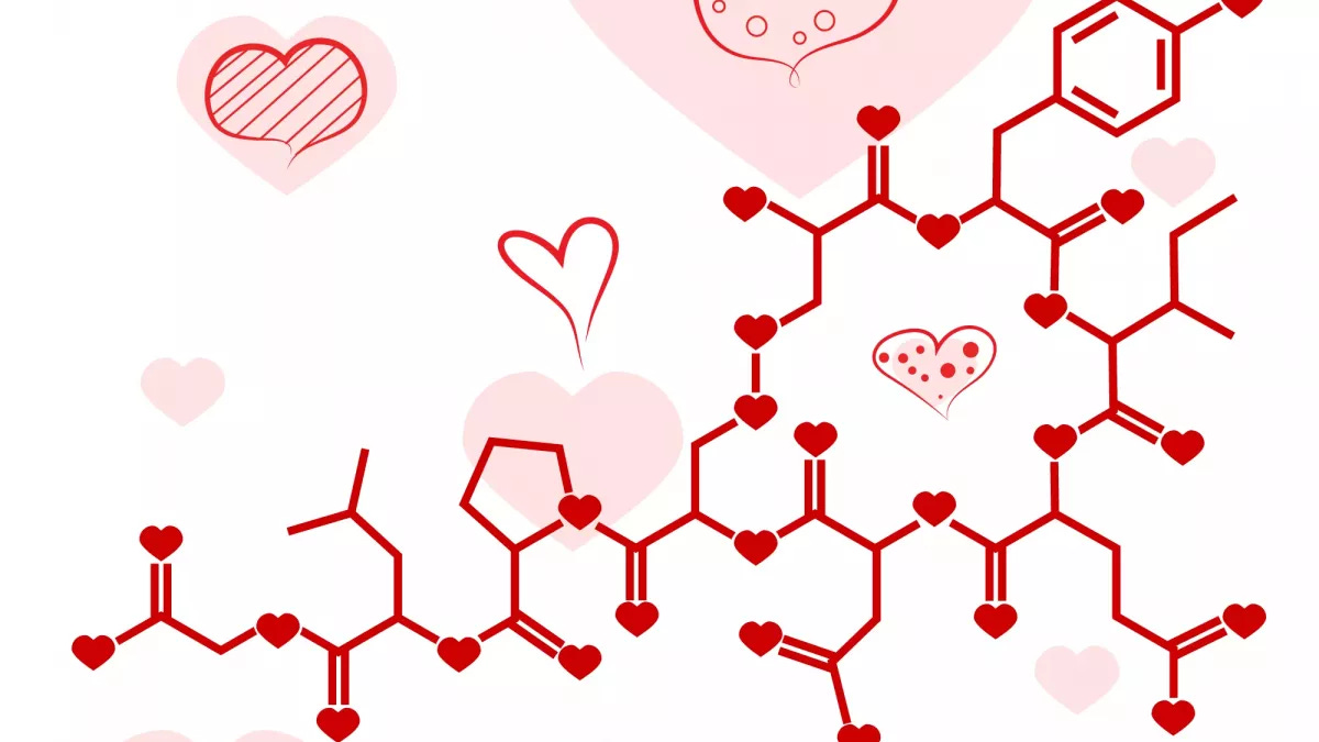 L'ocytocine : définition, rôle, fonctionnement