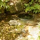 A Deeper Well by Riverwood Wellness 