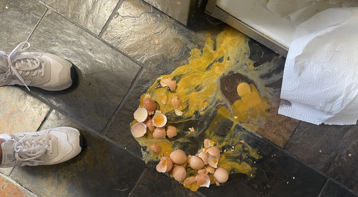 Eggs on the floor next to a white container

Description automatically generated