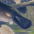 The Platypus's avatar