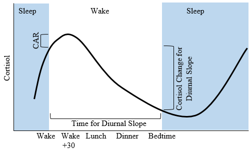 Diurnal Patterns of Cortisol – Psychology in Action Diurnal Patterns of Cortisol – Psychology in Action