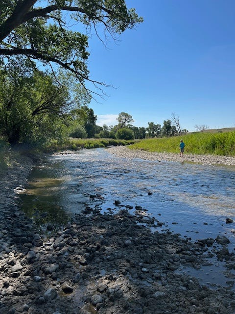 White wooden building resembling a church is a country schoolhouse in Melville, Montana. The Sweetgrass River is shallow, rocky, calm, and shady.