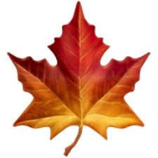 Maple Leaf Emoji (U+1F341) Maple Leaf Emoji (U+1F341)