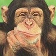 Chimp's avatar