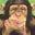Chimp's avatar