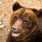 Genetic evidence for race differences in behaviour 