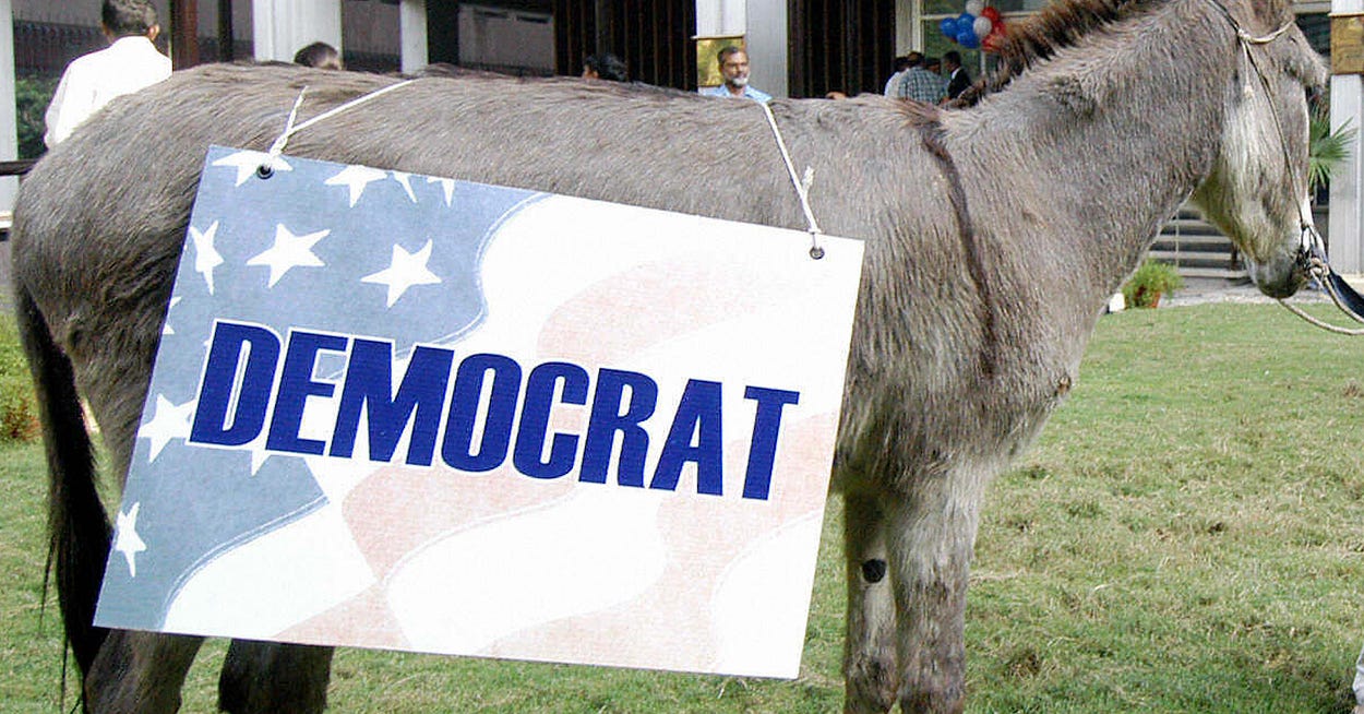 Democrat Rabbit Image Best U.S. Politics Newsletters on Substack