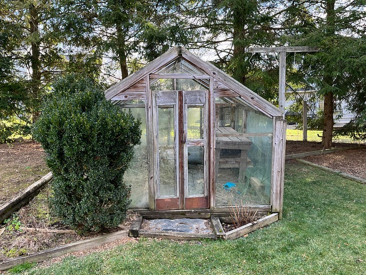 Framed garden bed and a greenhouse.
