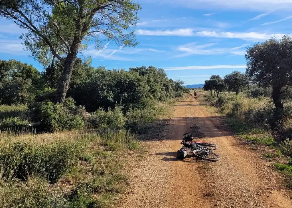 Amnu Albert Amnu Albert