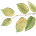 Project Reconnect
