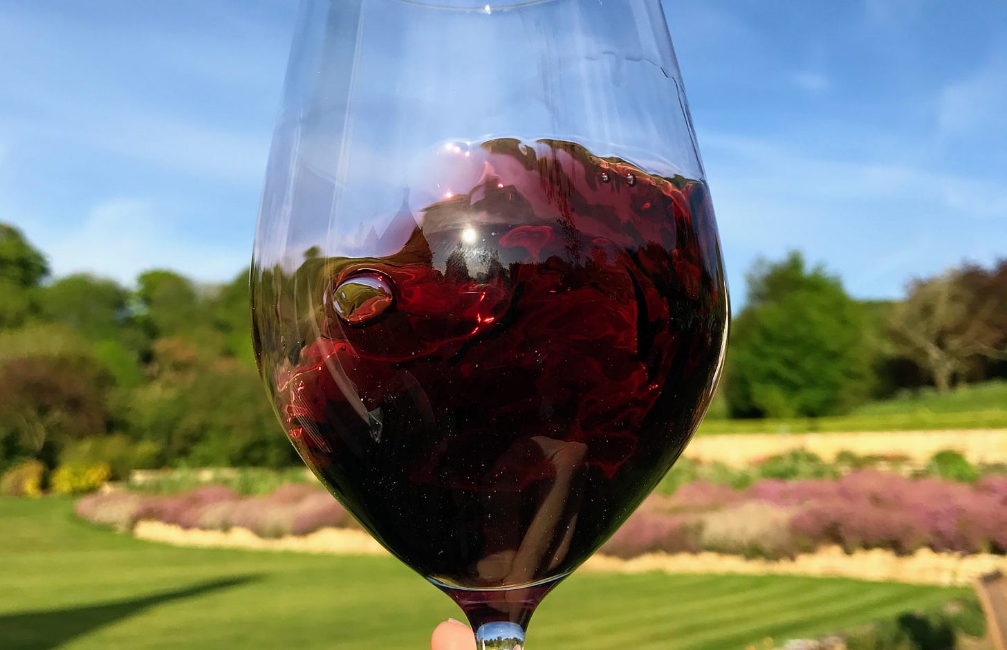 Cabernet swirling in a glass