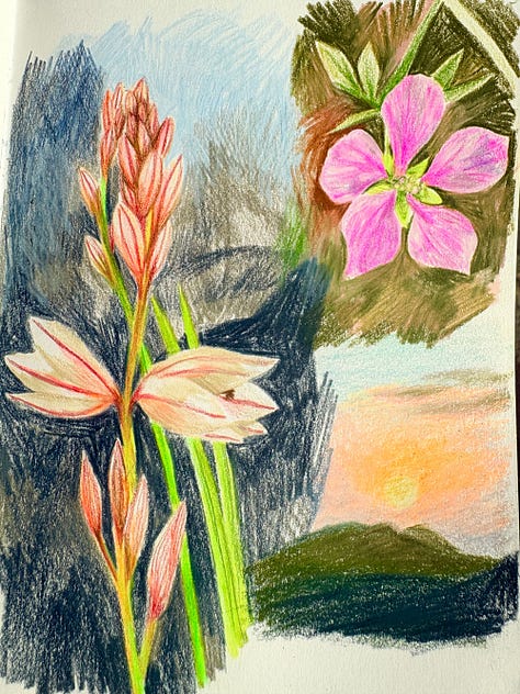 Colourful pencil drawings in a sketchbook