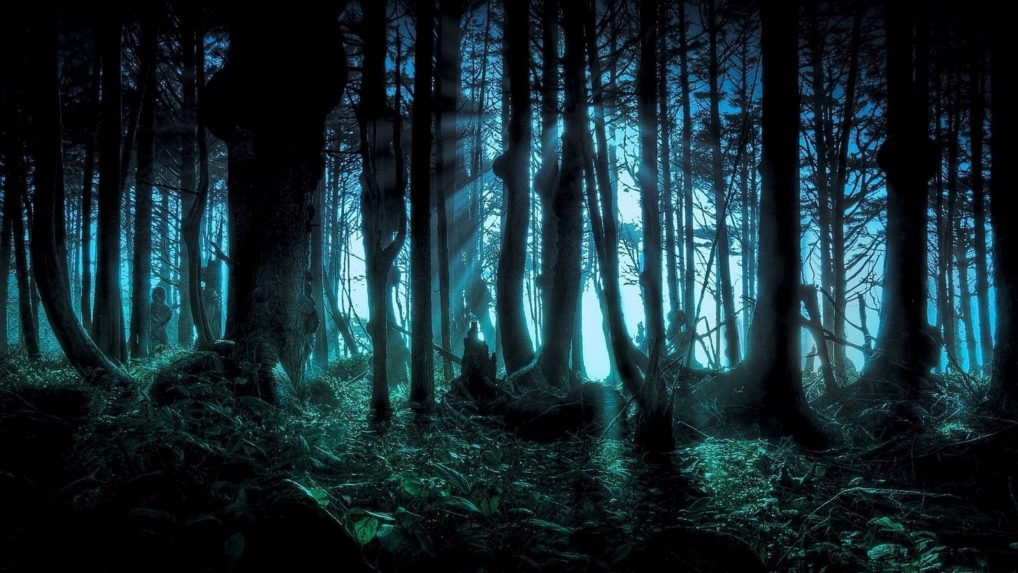 2560 X 1440 Dark Forest Wallpapers - Top Free 2560 X 1440 Dark Forest  Backgrounds - WallpaperAccess 2560 X 1440 Dark Forest Wallpapers - Top Free 2560 X 1440 Dark Forest  Backgrounds - WallpaperAccess