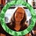 Stephanie Moll's avatar