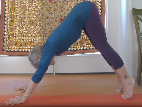 1) finding the spiral 2)ready to move 3)finding support 4)testing and deepening support  5)yielding to earth and pushing away to rise 6) settling into the posture