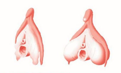 Mushuk sirlari fotosurati Lateks modellar porno rasmlar