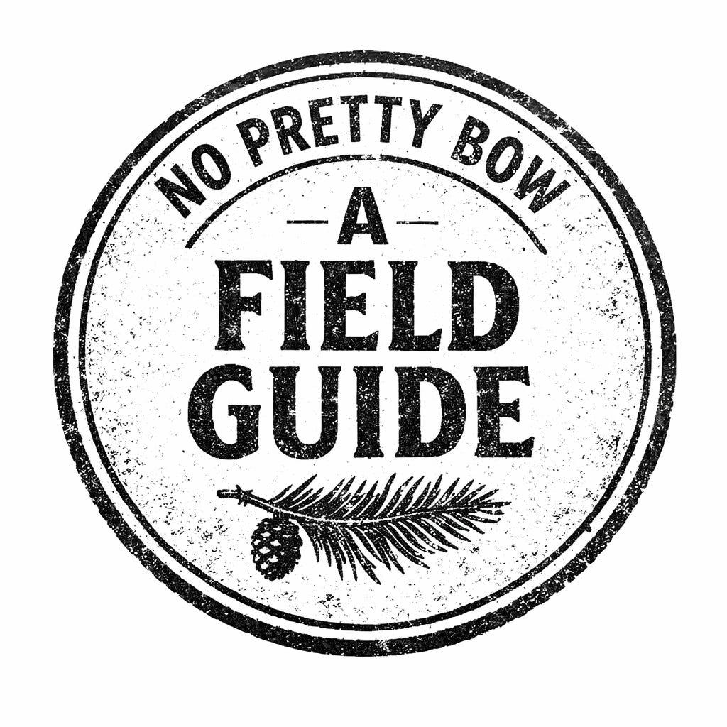 Debby Handman: No Pretty Bow