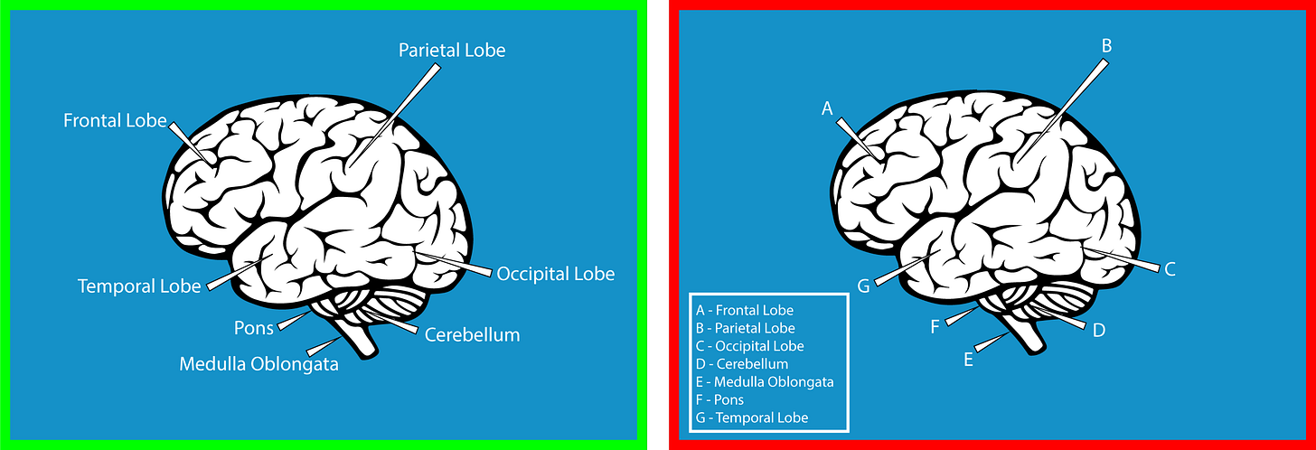 Illustration of the contiguity principle. The left panel shows a brain diagram with parts labeled directly next to the corresponding parts. The right panel shows the same brain diagram with parts labeled with letters that correspond to a separate, boxed legend.