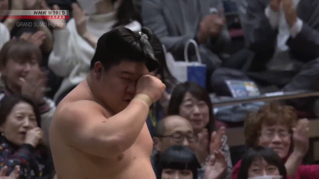 Sumo Stomp! | Tim Bissell | Substack