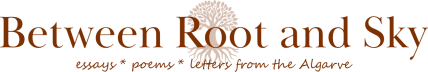 Between Root and Sky