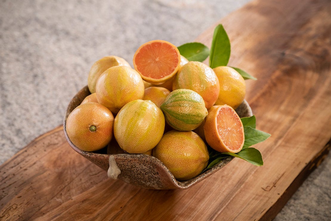 Media: Pink Lemons Media: Pink Lemons