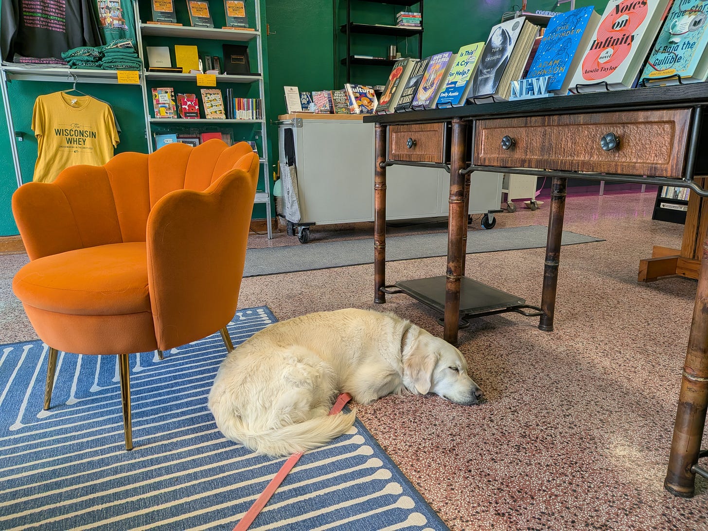Dog taking a nap in a bookstore Dog taking a nap in a bookstore