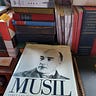 Attempts to Find Robert Musil