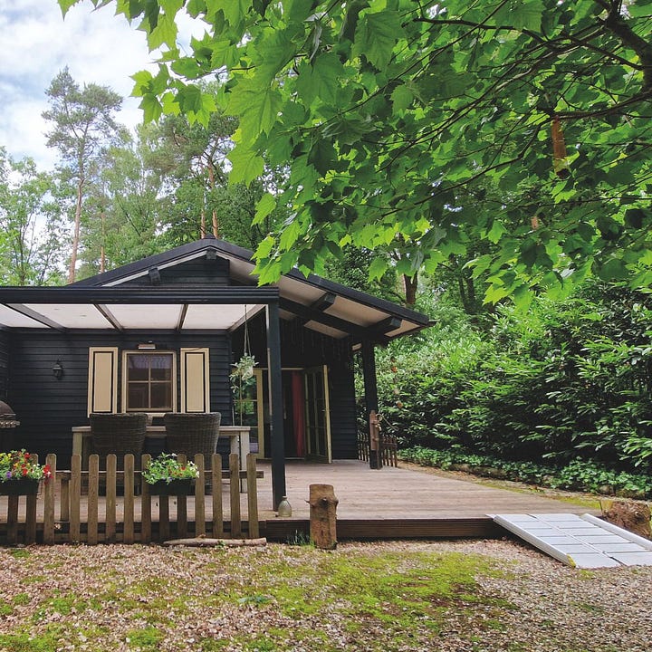 A dark wooden accessible holiday cabin in a forest, shown across four photos: the exterior with a covered veranda and portable wheelchair ramp, a shaded terrace with outdoor dining table, a bedroom with adjustable twin beds and a ceiling hoist track, and a modern bathroom with grey subway tiles, a roll-under sink, and a ceiling hoist rail.