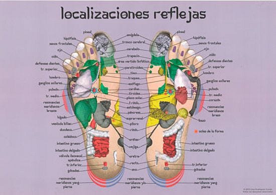 Lámina Localizaciones Reflejas