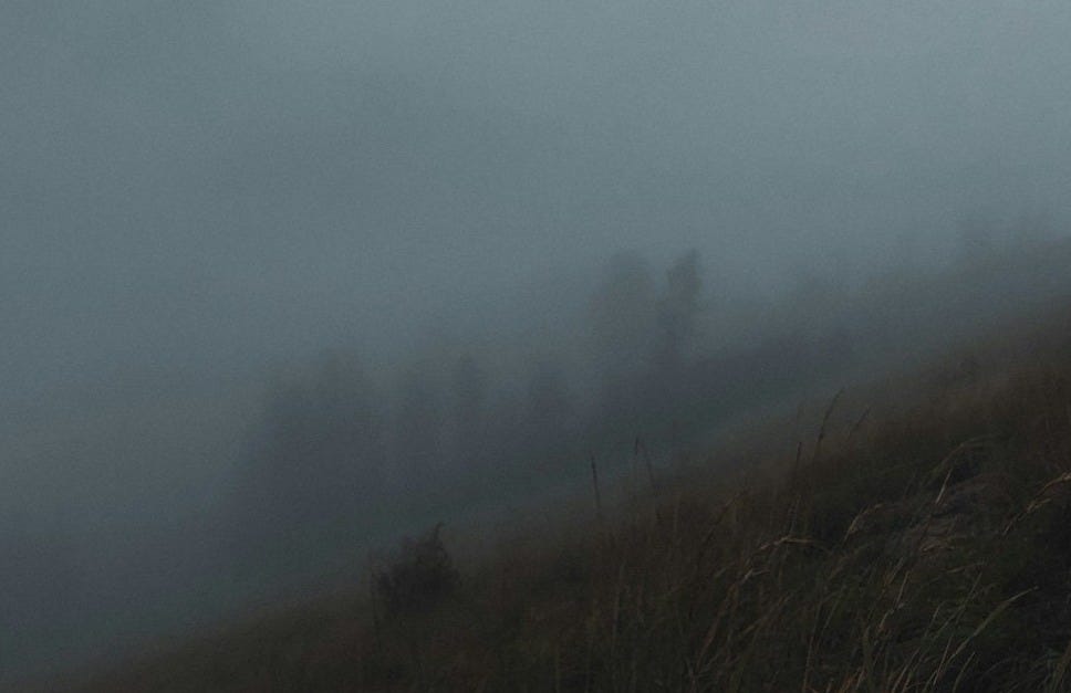 brown grass field covered with fog
