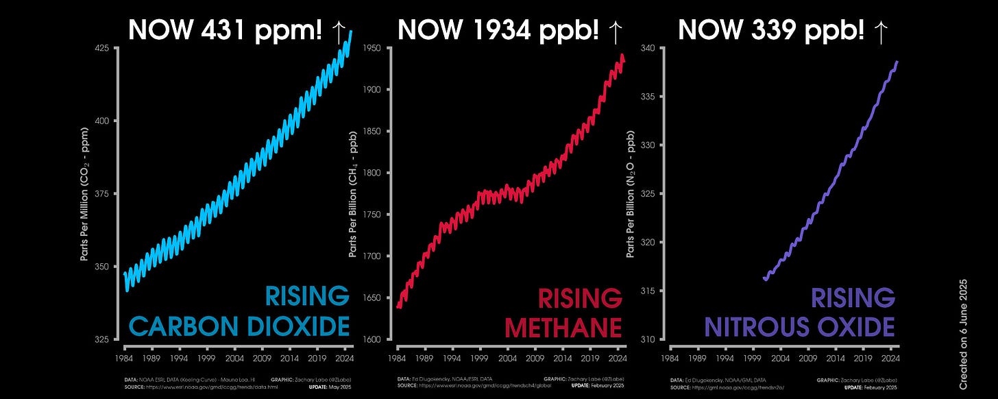 Graphic shows three line graph time series of monthly carbon dioxide abundance in ppm (blue line), monthly methane abundance in ppb (red line), and monthly nitrous oxide in ppb (purple line). Graphs are all shown from January 1984 through February 2025/May 2025. Current levels of CO2 are 431 ppm. Current levels of methane are 1934 ppb. Current levels of nitrous oxide are 339 ppb. All graphs show long-term increasing trends along with some interannual variability and seasonality. 