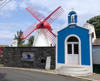 Images of a rocky coastline with blue water, a little blue church with a windmill, and a palmtrees and ferns in a botanical garden.