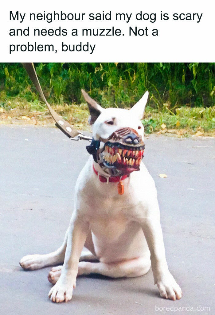 50 Memes That Dog Owners May Find Humorously Relatable | Bored Panda