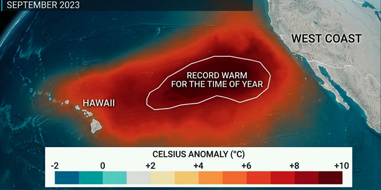 This El Niño Is Breaking A 155-Year Record—And That's Not The Worst Part...