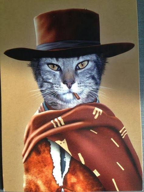 41 Popular Cats/Cowboy/Cowgirl ideas | cats, cats and kittens, cowboy and  cowgirl