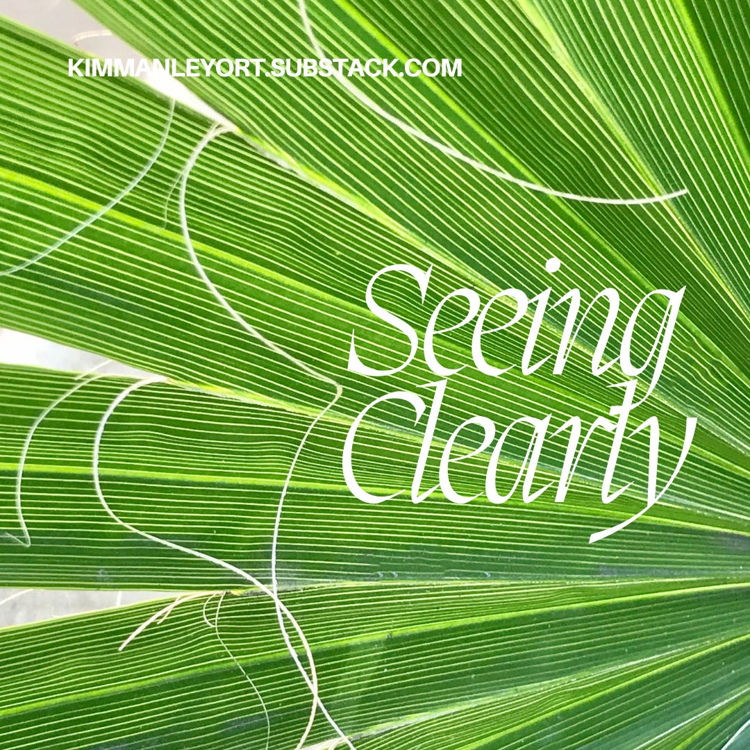 Seeing Clearly
