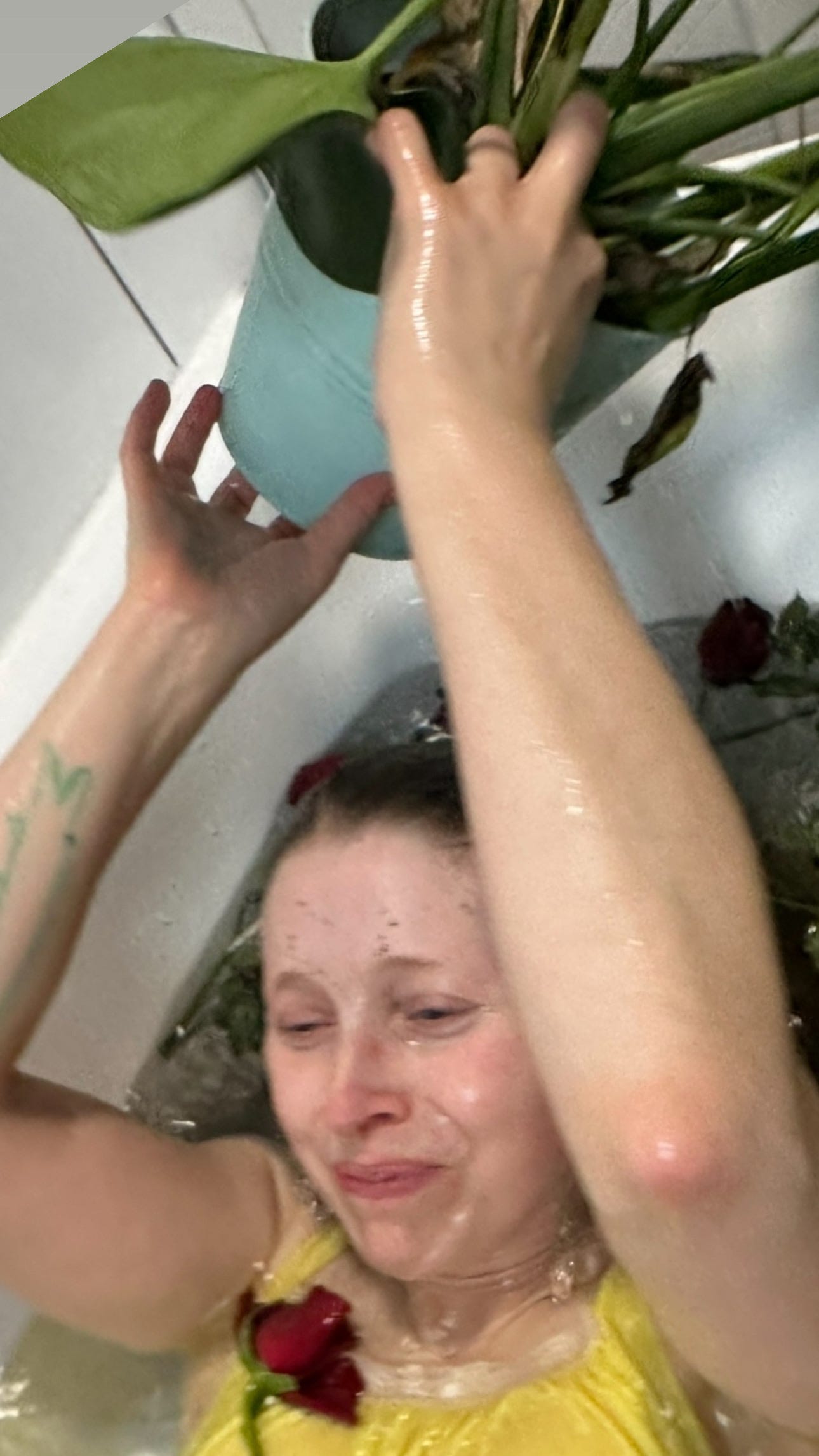 Porn Picture