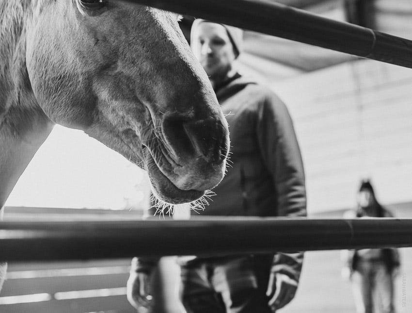 Living and Dying: The Spirit and Power of Human Potential