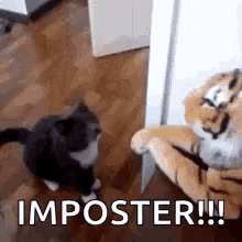 Imposters The Imposter GIF - Imposters The Imposter Among Us - Discover &  Share GIFs