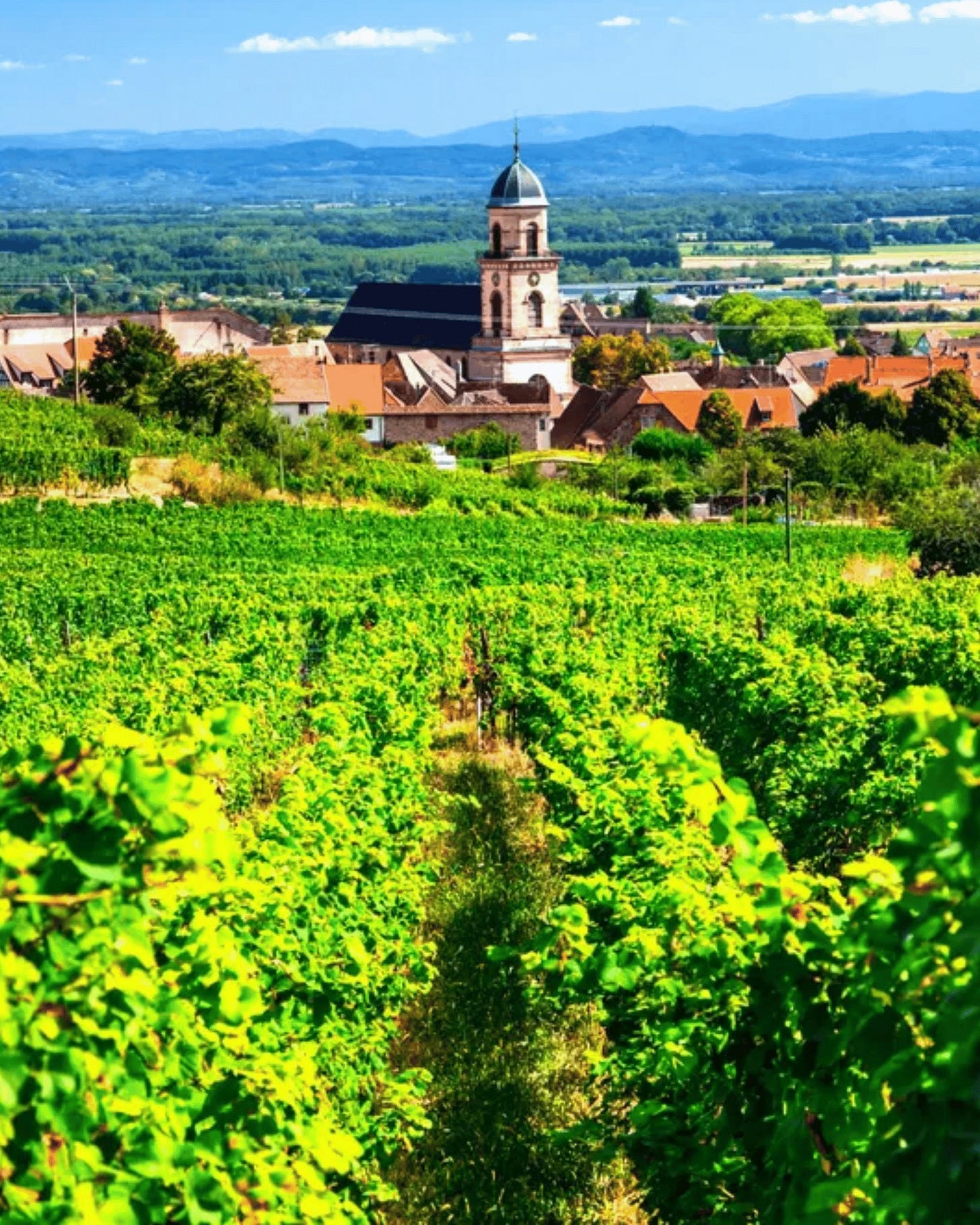 No photo description available.